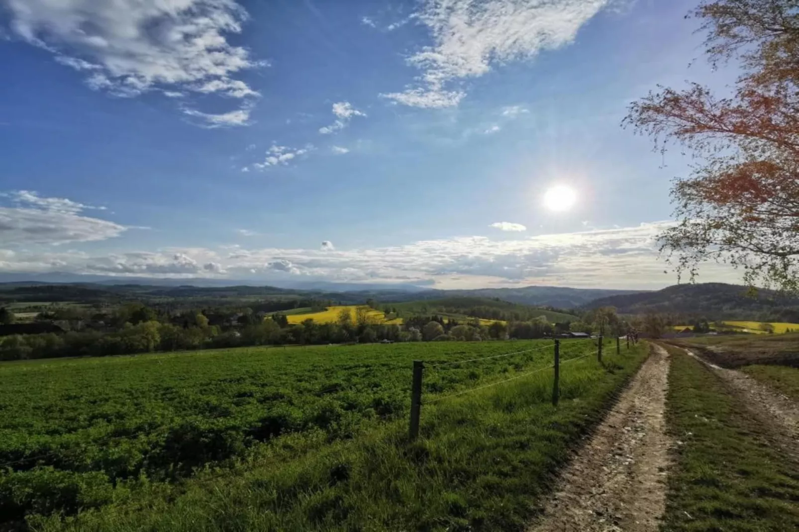 Dolina Bobru-Areas within 5km in summer