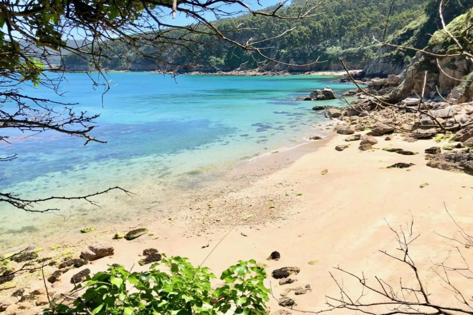 Quinta do Couto-Zones été à 20 km