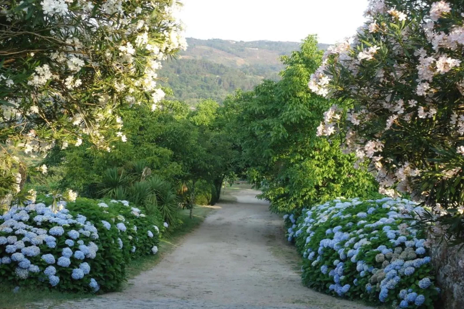 Casa do Tanque-Areas within 20km in summer