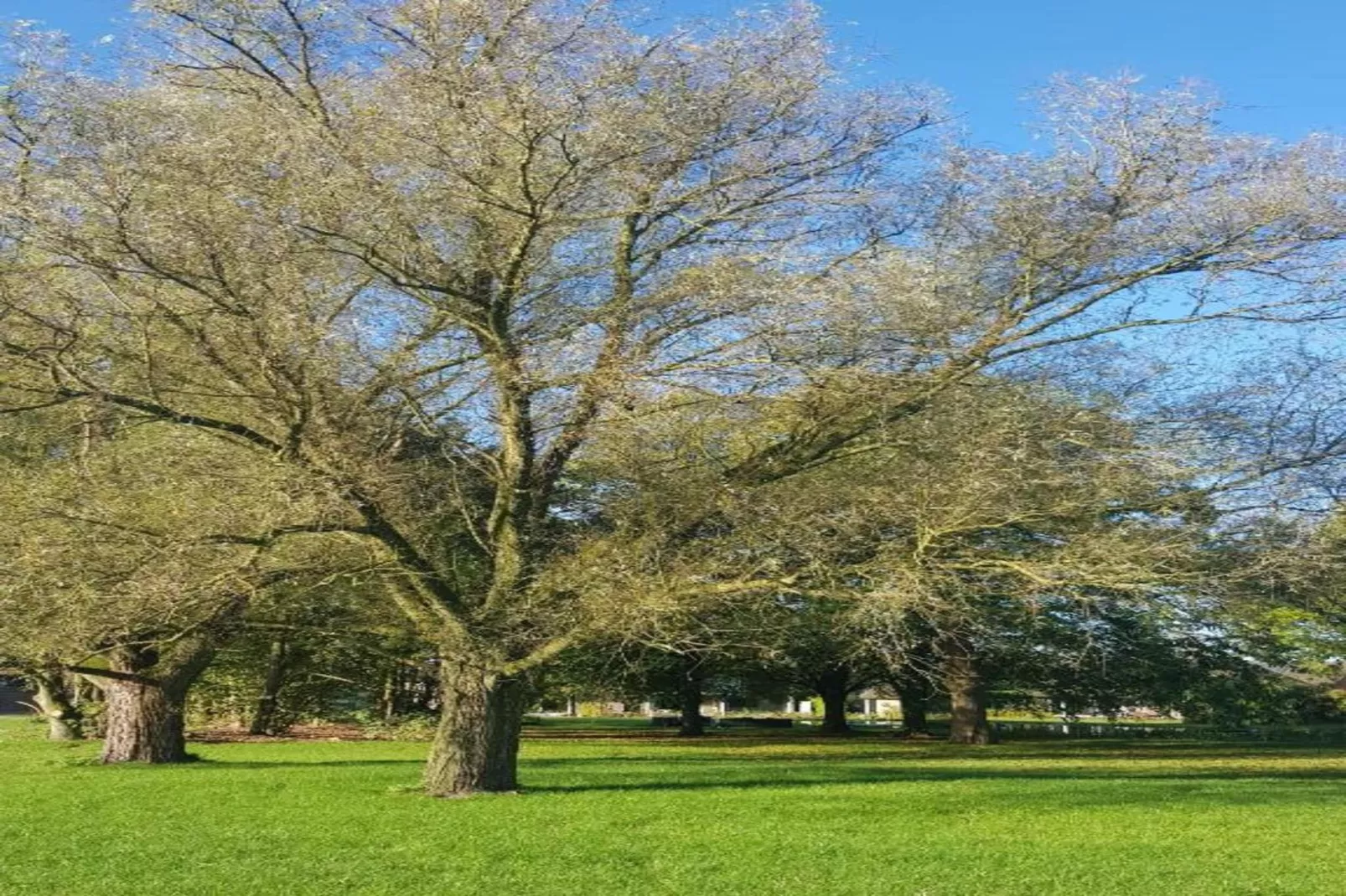 Parc de Kievit 20-Gebiete Sommer 20 km