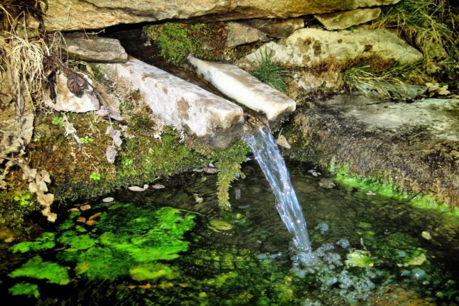 Casa la Albaida-Areas within 5km in summer