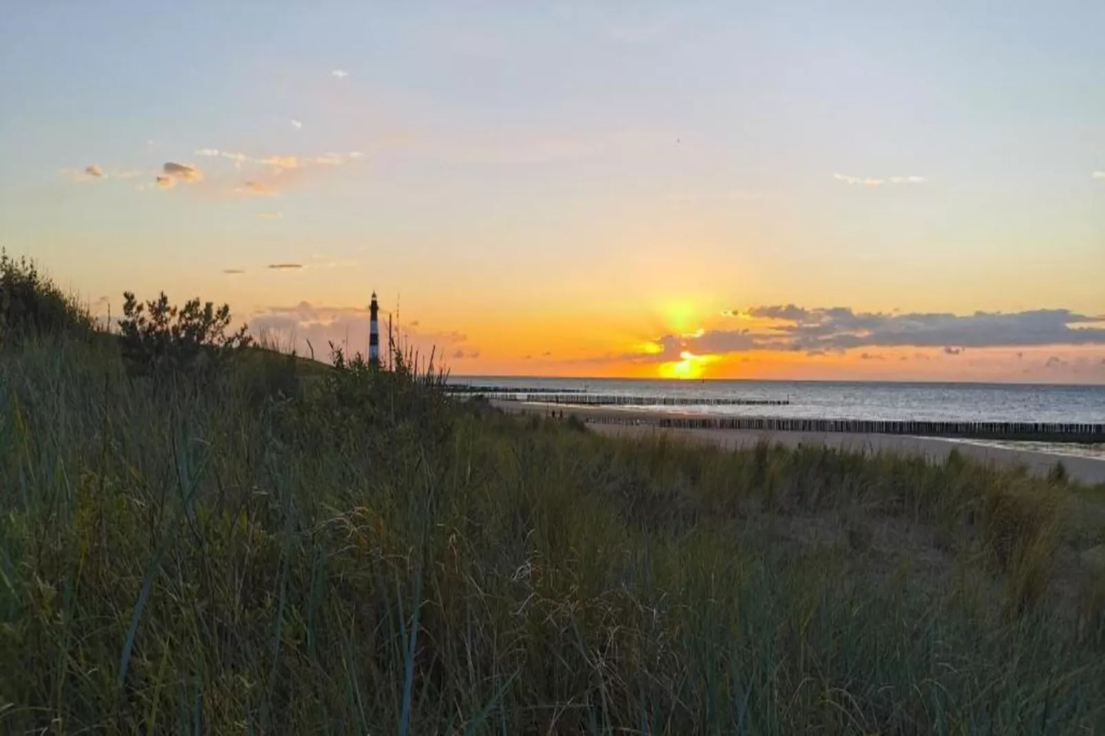 Vakantiepark Zeebad 14-Areas within 5km in summer