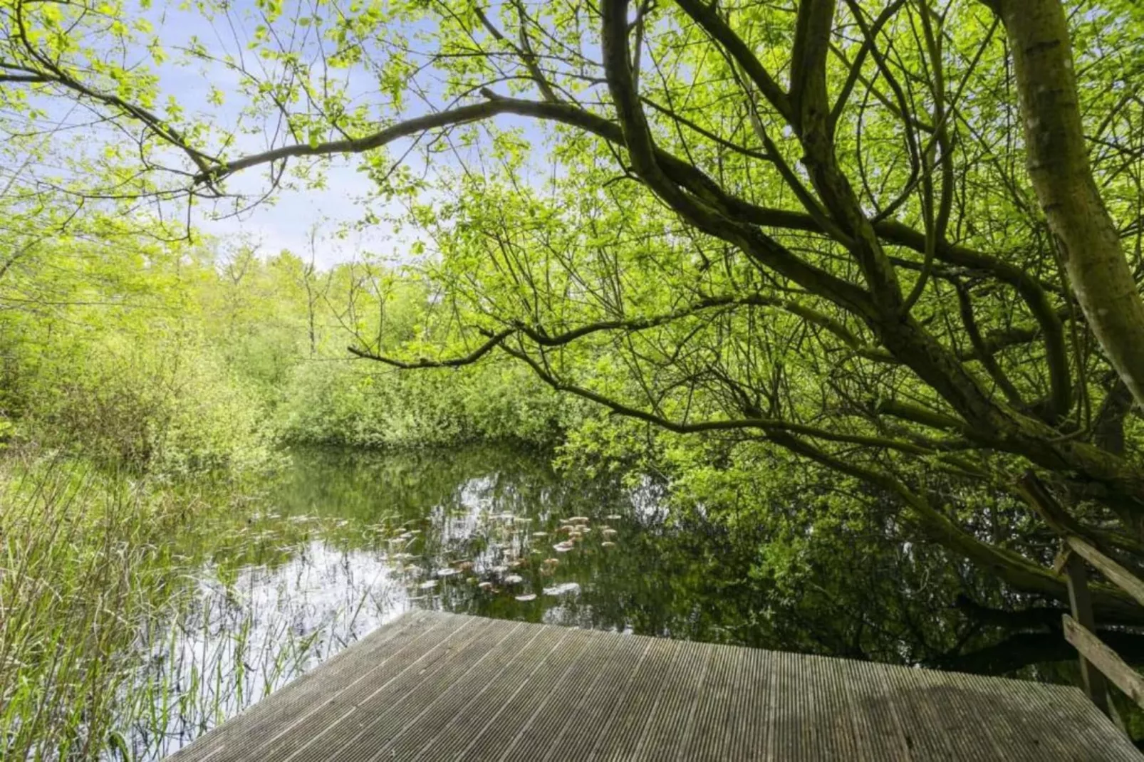 Buitenplaats Gerner 7-Areas within 20km in summer