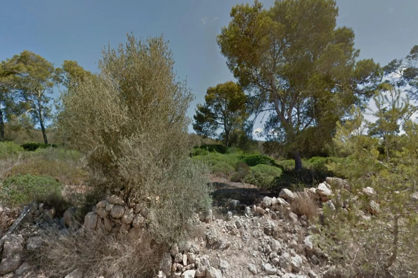 Can Xesquet-Areas within 5km in summer