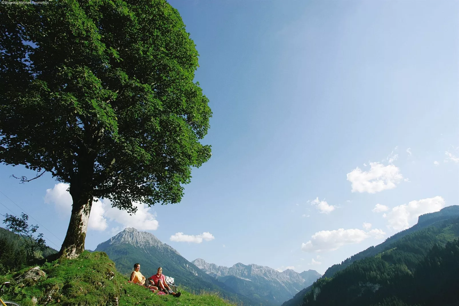 Brunnleiten 2-Areas summer 5km
