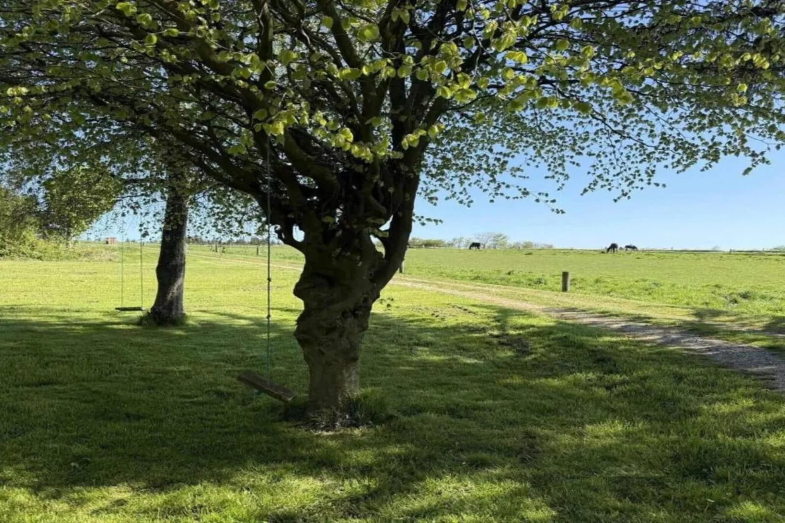 Maison de vacances pour 6 a Bedsted Thy-By Traum-Non étiqueté