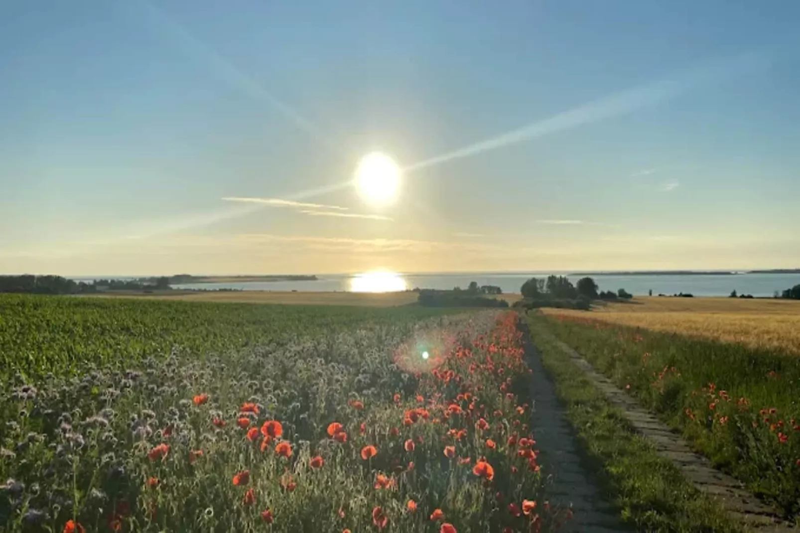 Bungalow Andrea am Salzhaff mit Garten-Zones été à 5 km