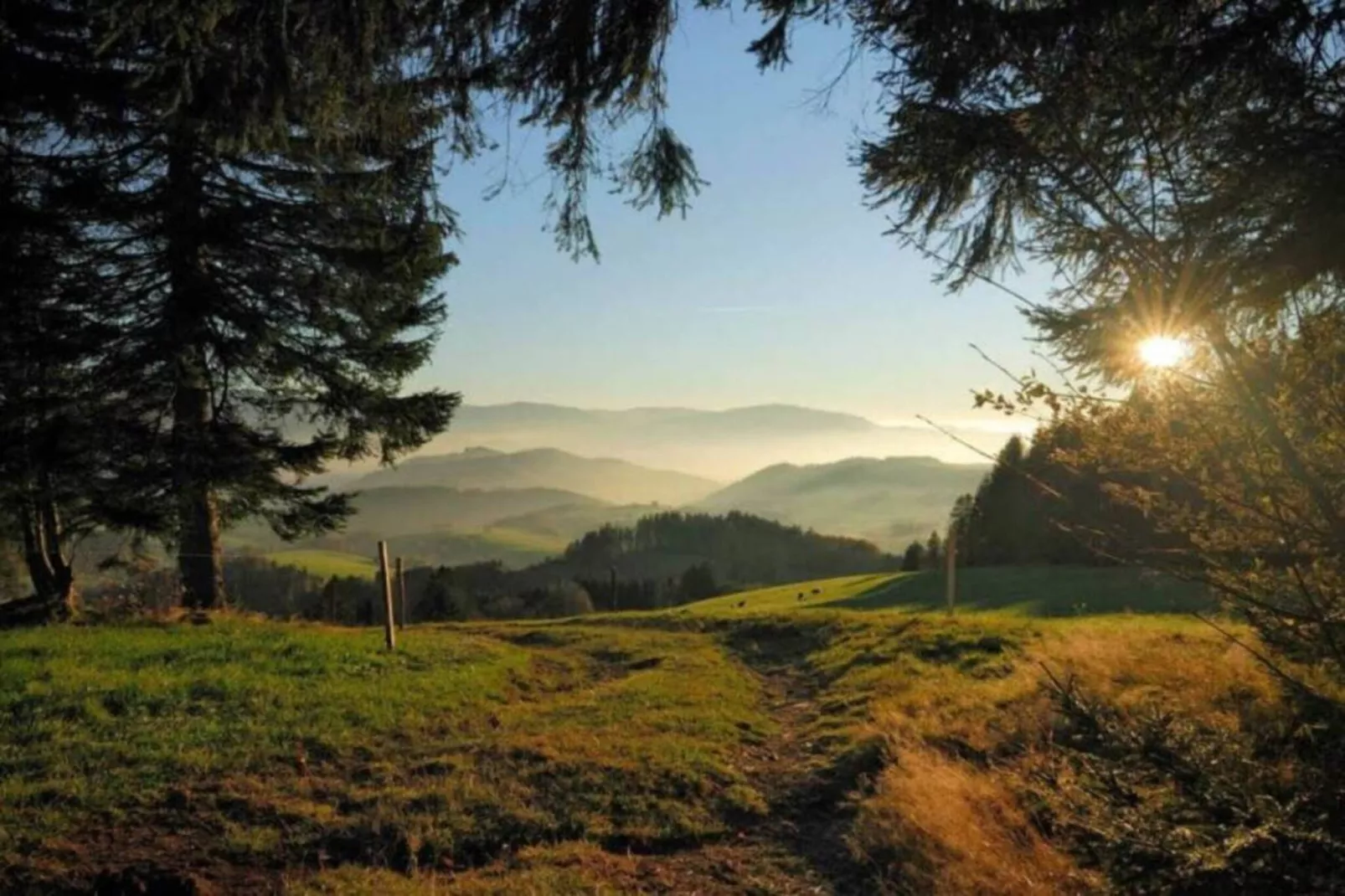 Im Ländle-Gebiete Sommer 20 km
