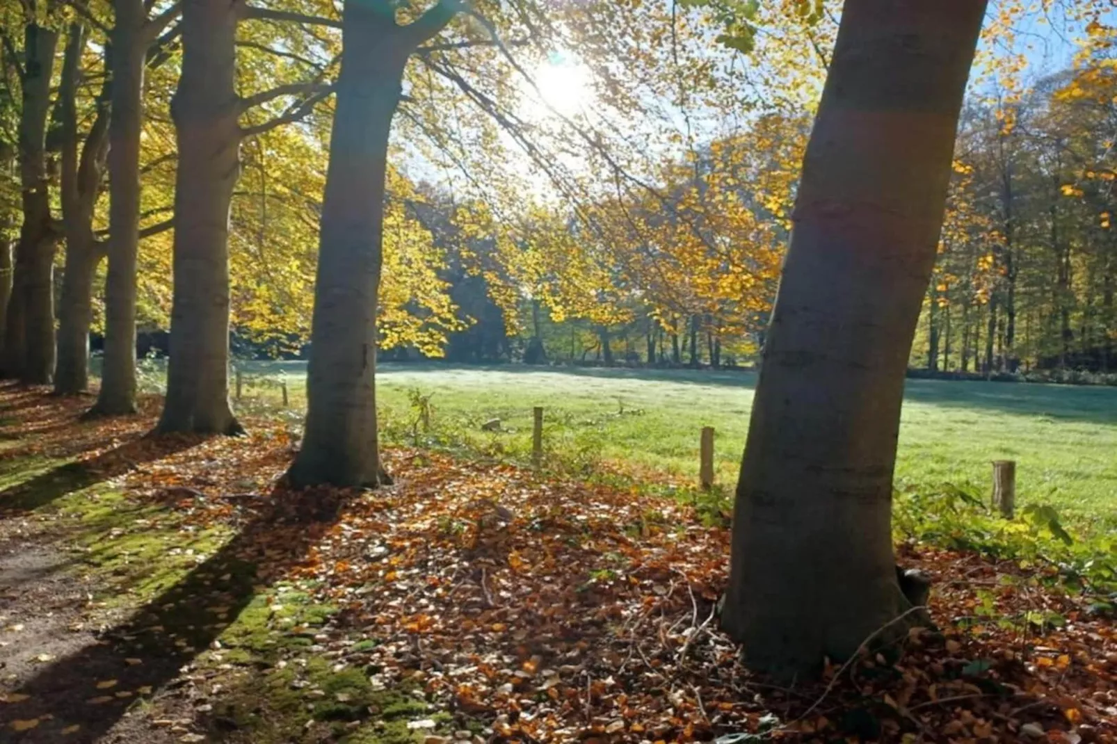 Hulshorsterhout-Areas within 20km in summer