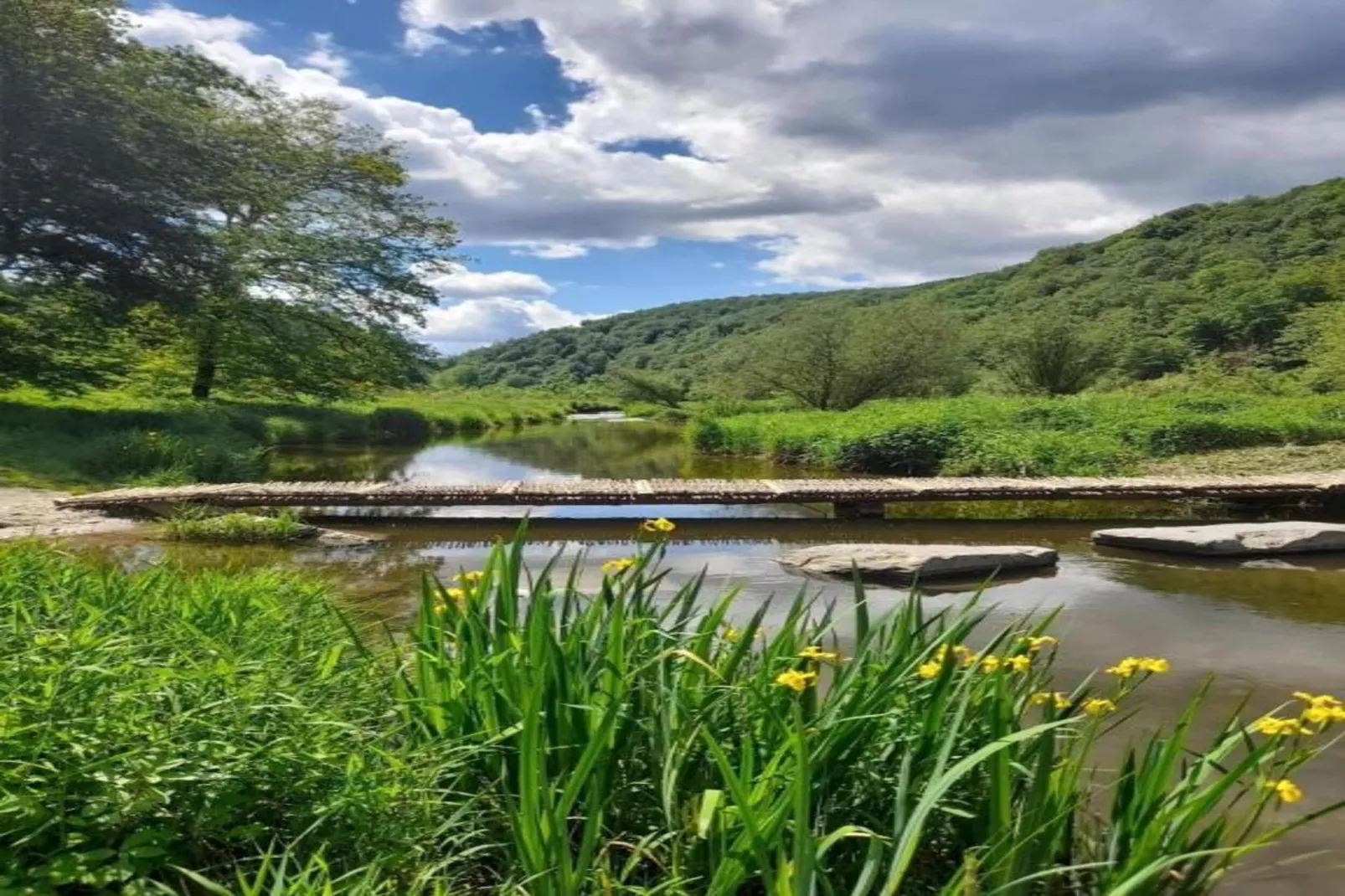 Leora Cocoon-Areas within 20km in summer