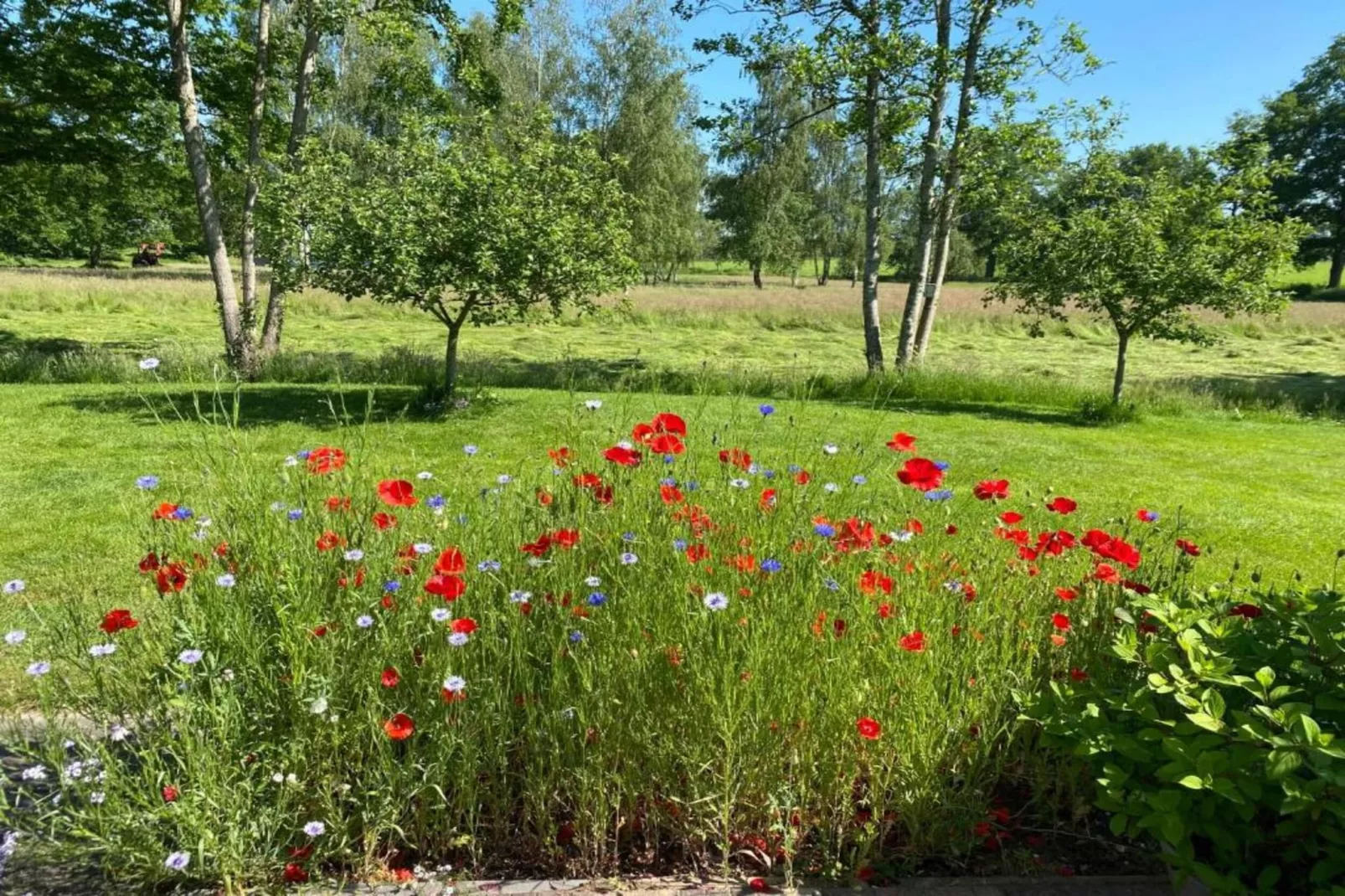 Acker Lodges 2-Gebiete Sommer 20 km