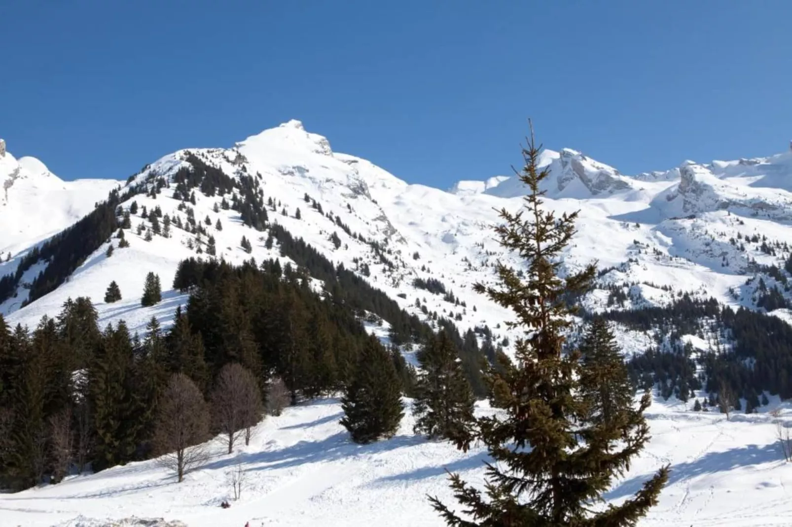 Résidence Prestige Mendi Alde 3-Area within 20km in winter