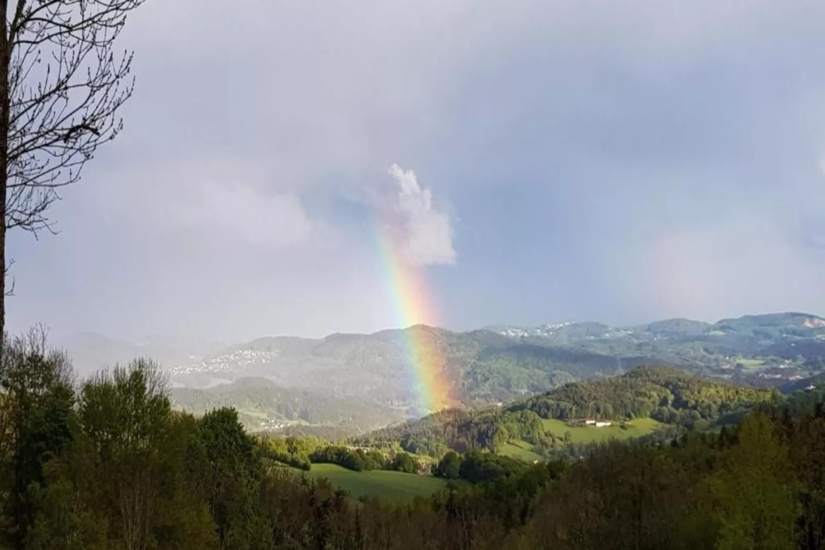 	Holiday flats Haus am Wald Zenting-Wohnung für 2 Personen-Gebiete Sommer 20 km