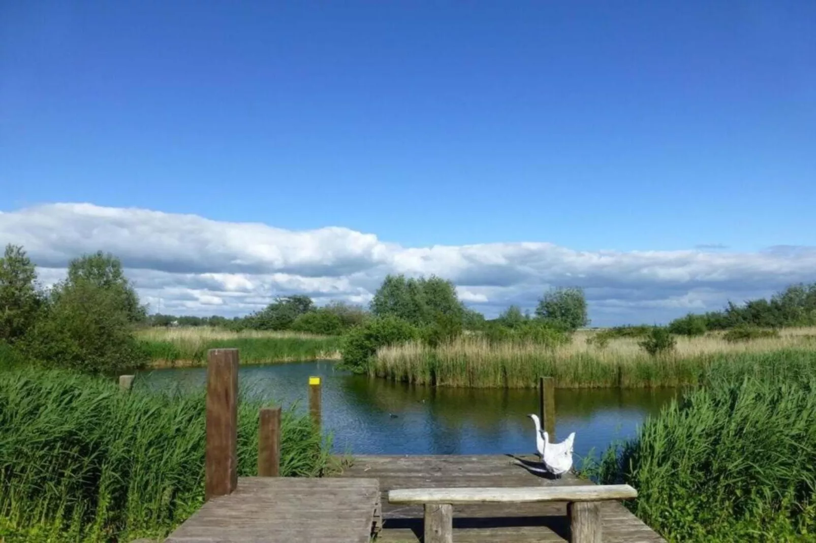 Beach Resort Makkum 25 - Gebiete Sommer 5 km