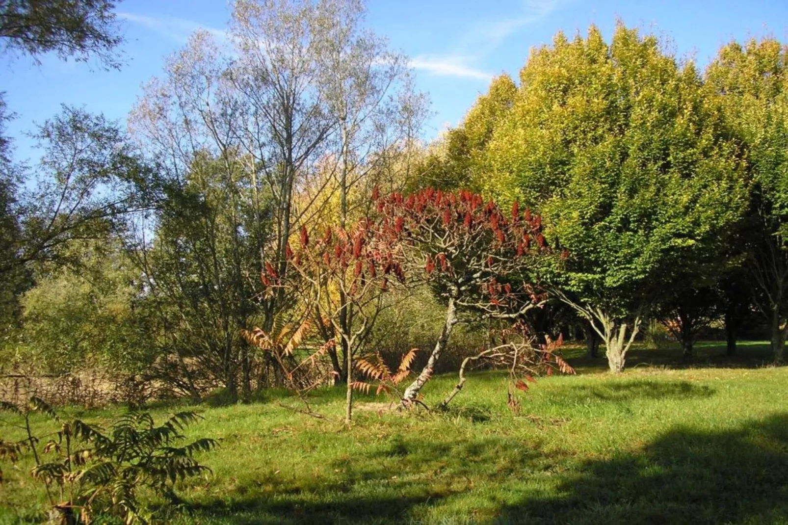 Appartement avec piscine-Areas within 20km in summer