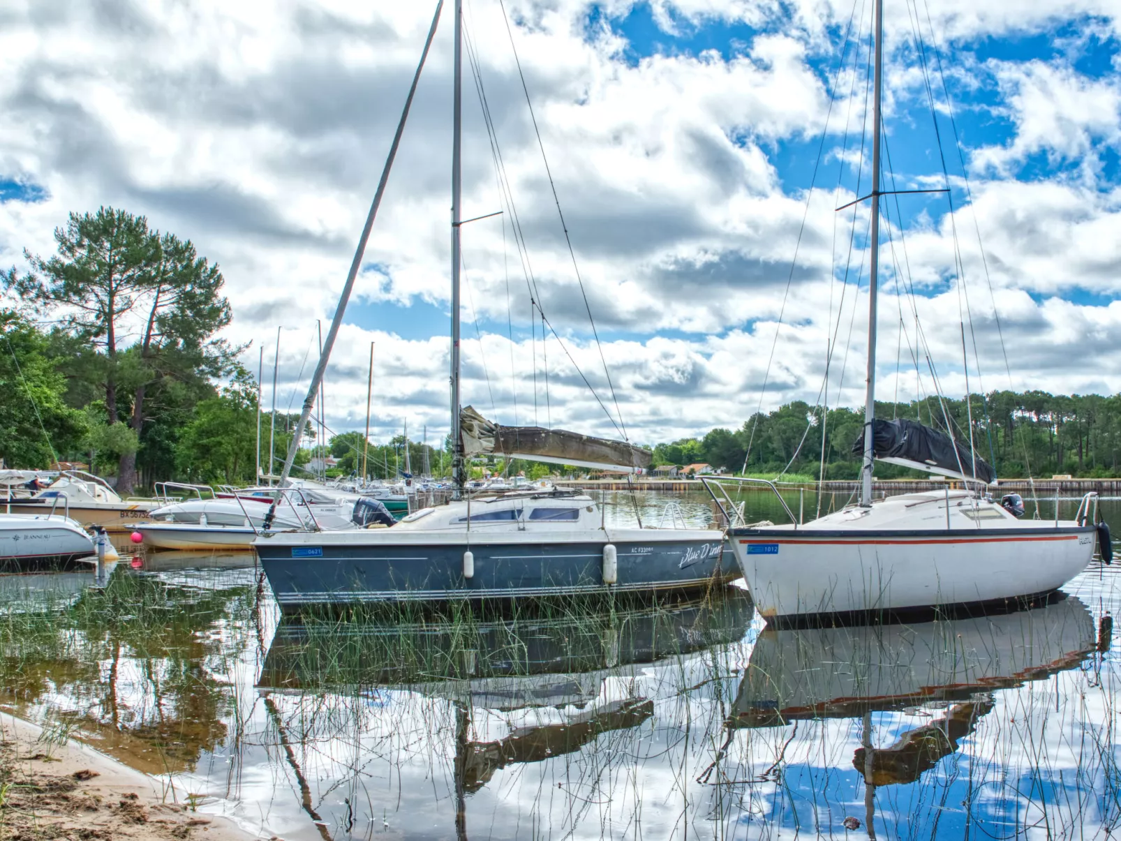 Atlantic Green V6I-Environnement