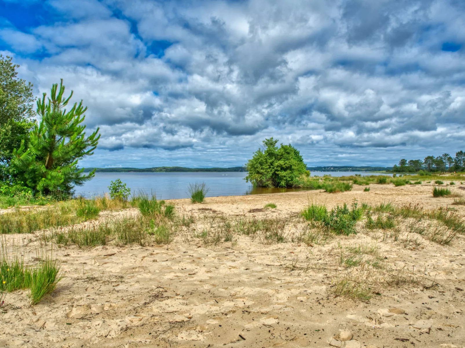 Bleu Marine-Area