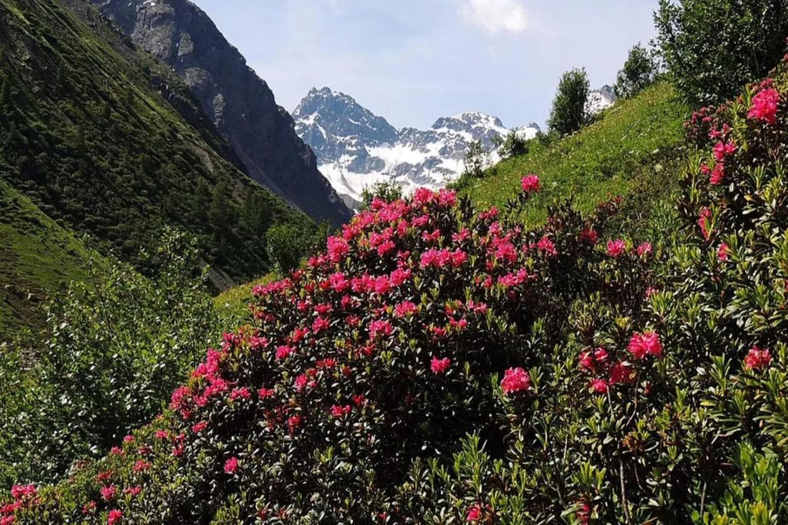 Apartment Maria-Gebiete Sommer 20 km