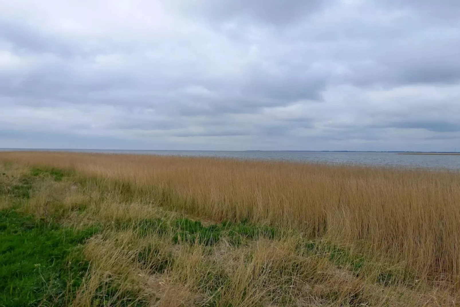 6 person holiday home in Ulfborg-By Traum-Untagged