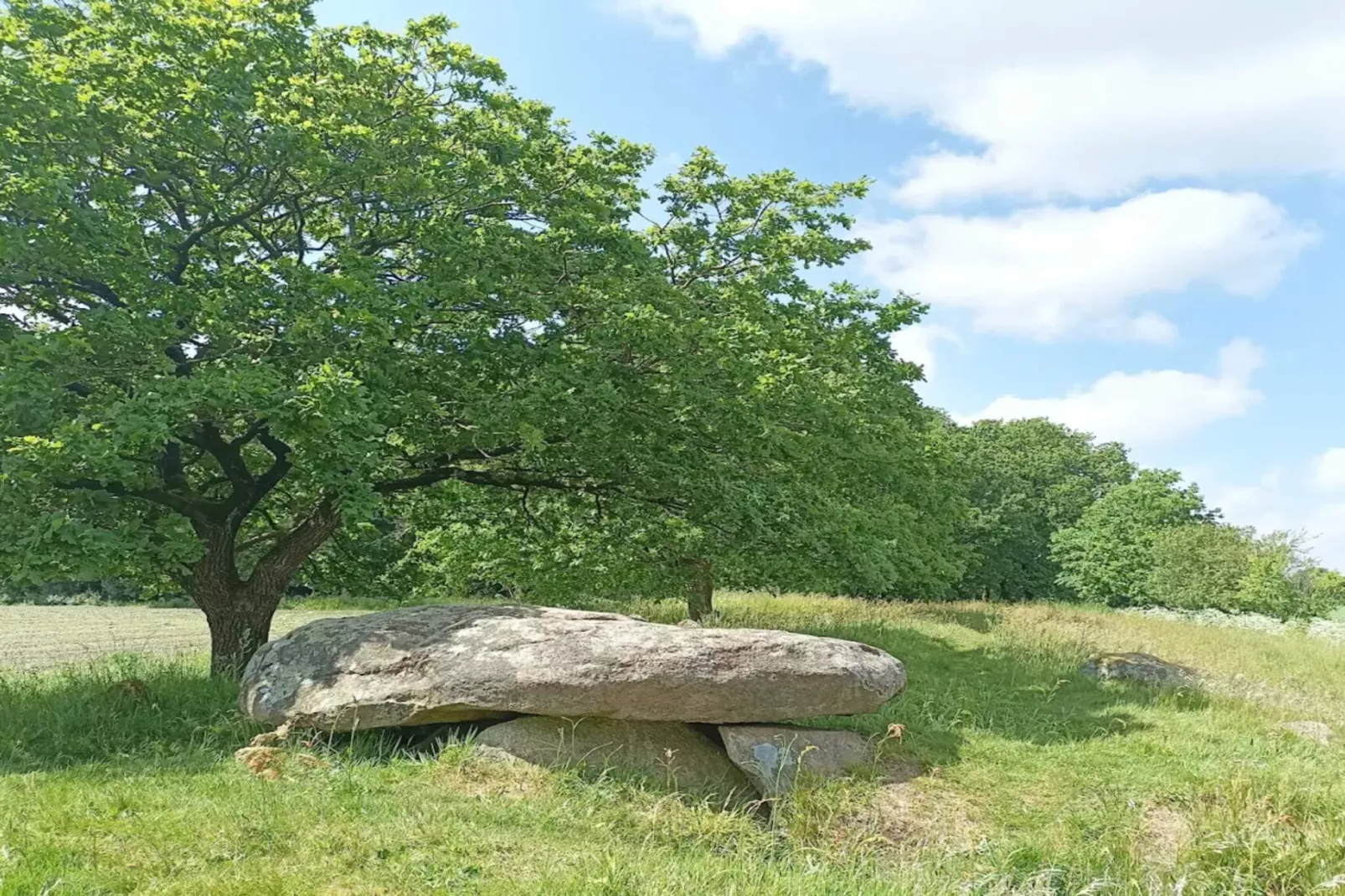 4 person holiday home in Hovborg-By Traum