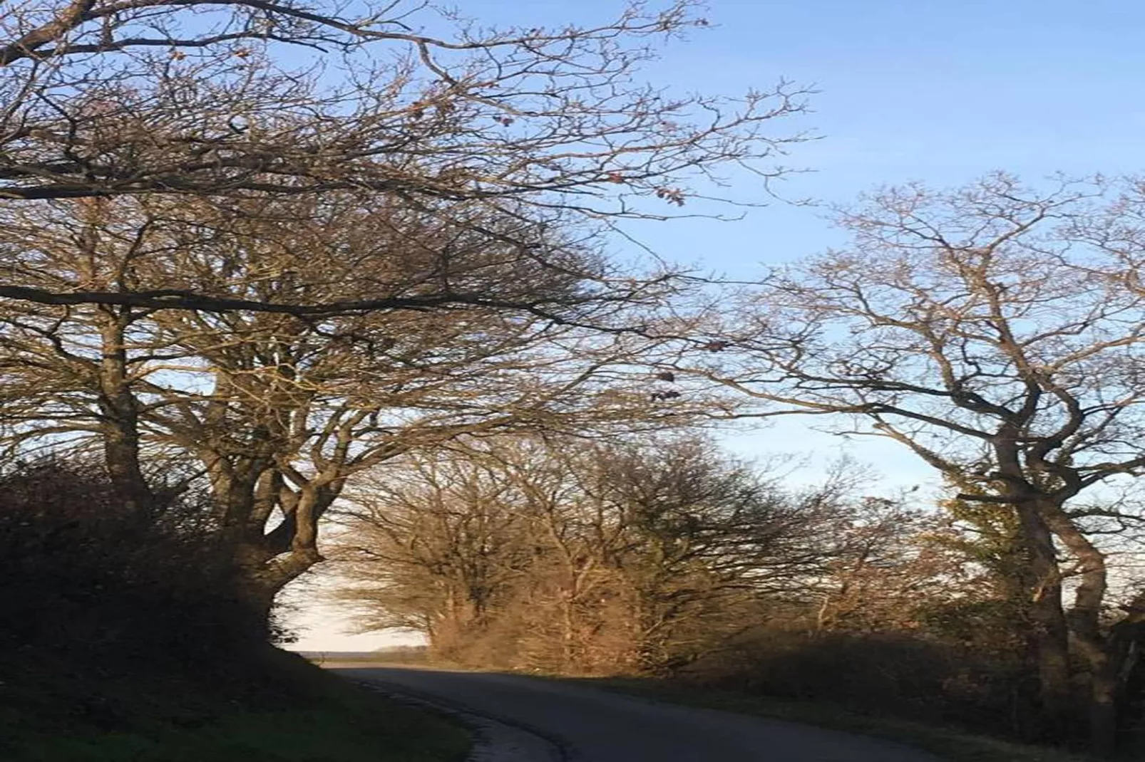 Château Beychevelle-Zones été à 20 km
