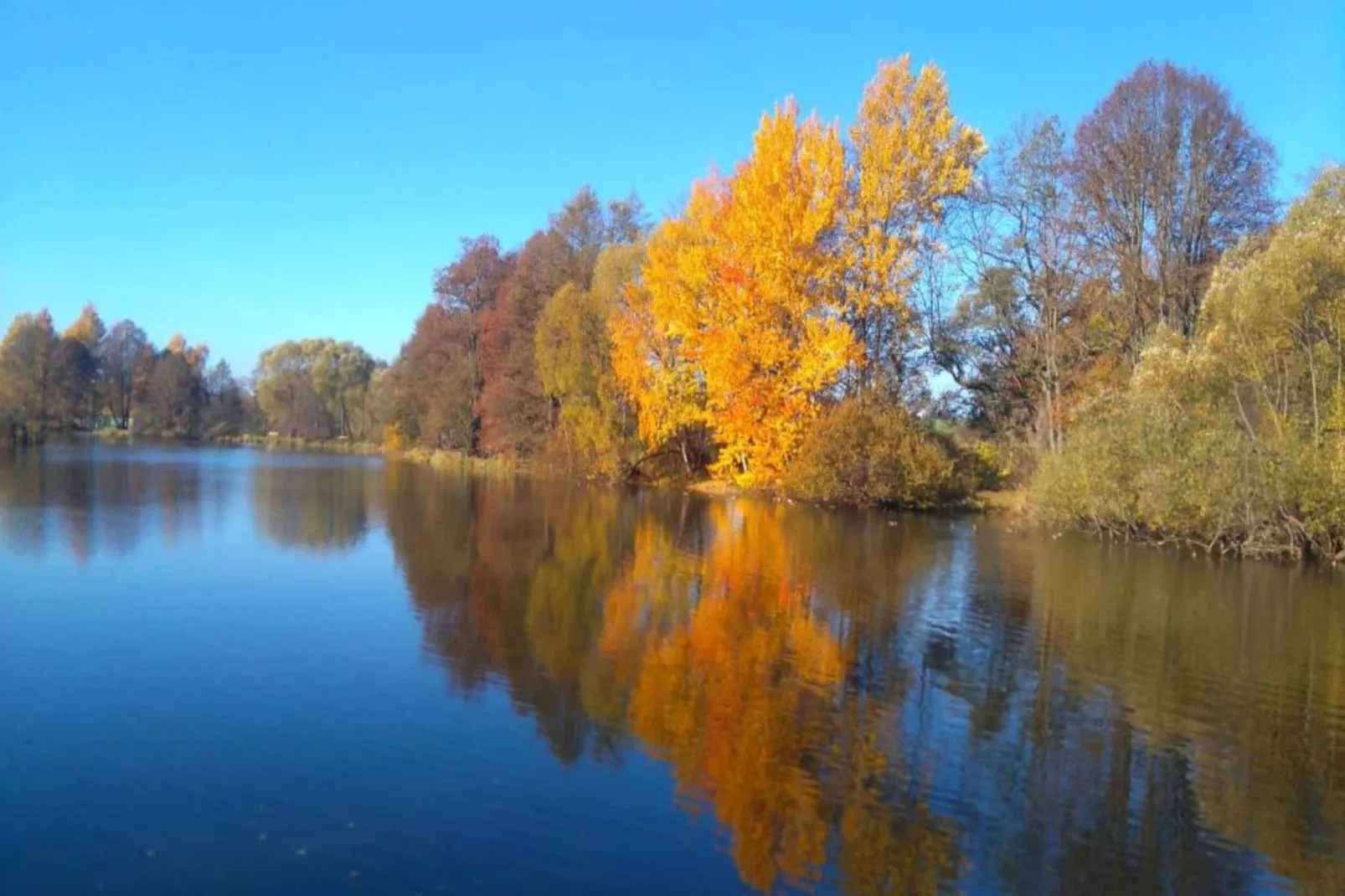 Ferienwohnug an der Saale-Areas within 1km in summer