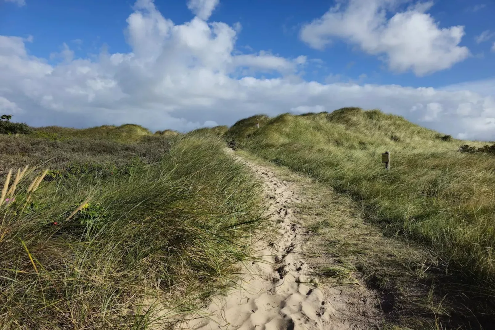 Achtern Diek-Gebiete Sommer 5 km