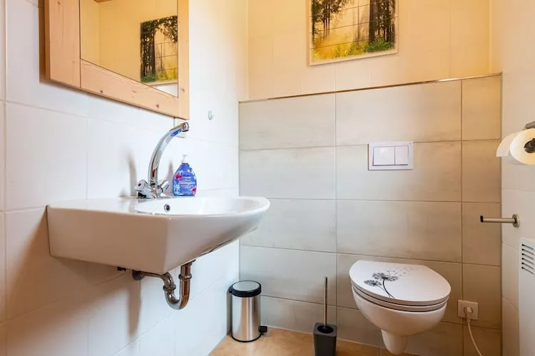 Ferienhaus in Hasselfelde - Haus 515 Auerhahn-Bathroom
