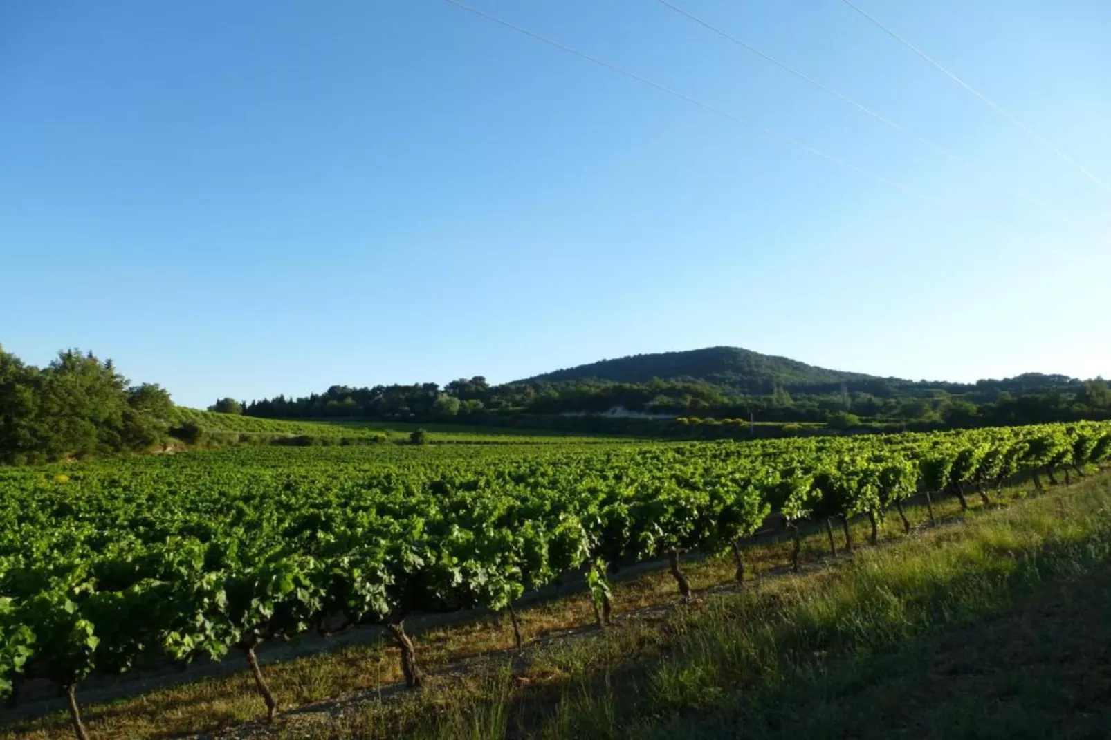 Maison de vacances Le Thor-Areas within 20km in summer