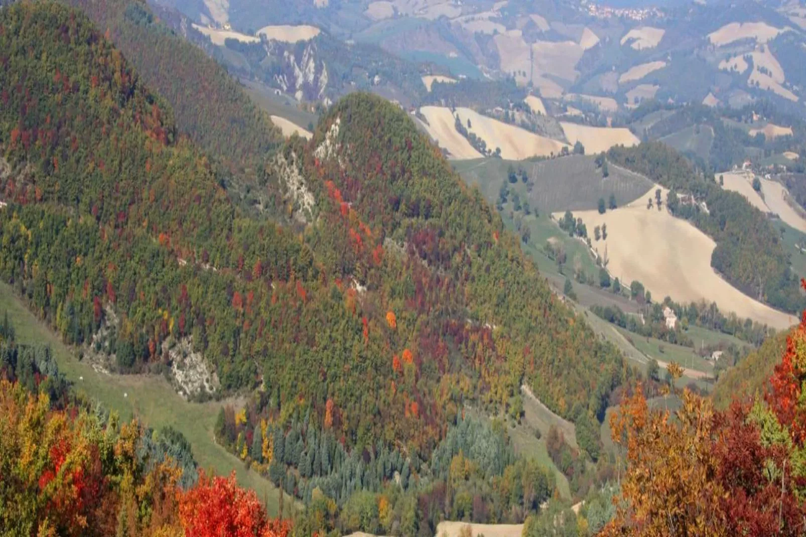 Piano Giardino-Areas within 20km in summer