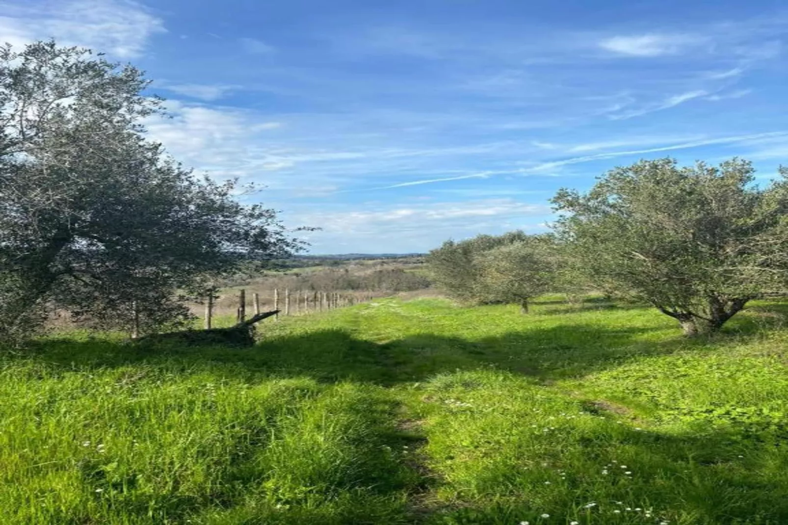 Villa Celli Sei-Areas within 5km in summer
