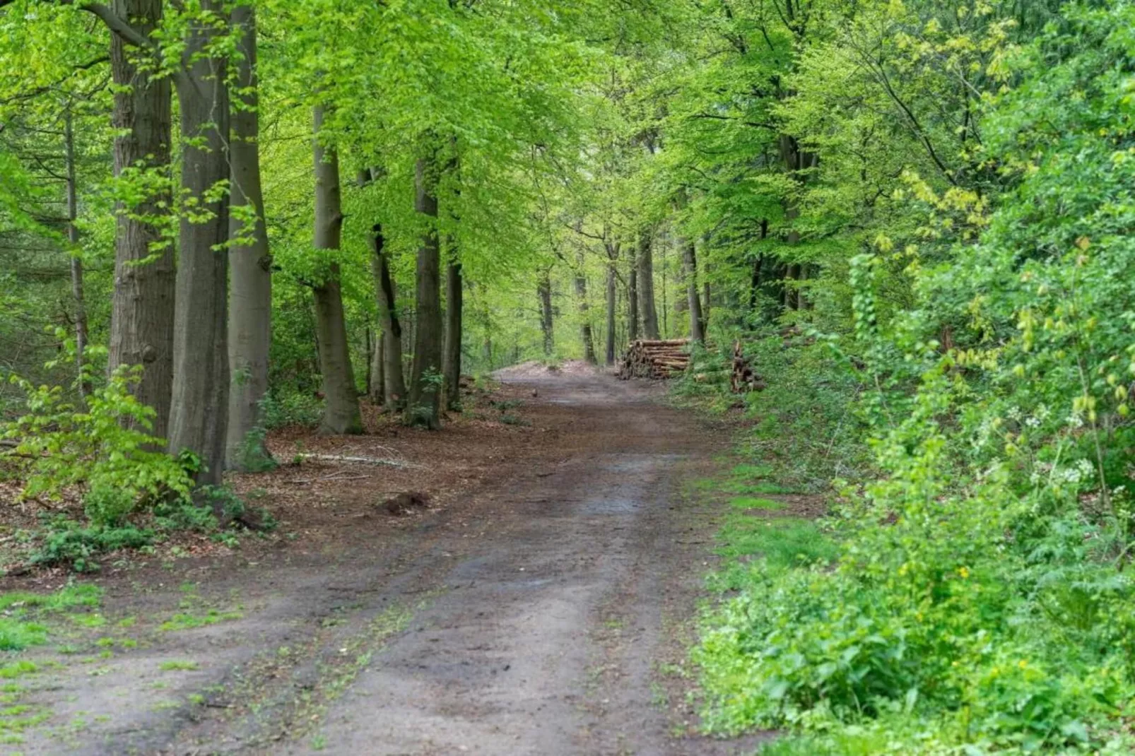 Landgoed De IJsvogel 12-Zones été à 20 km
