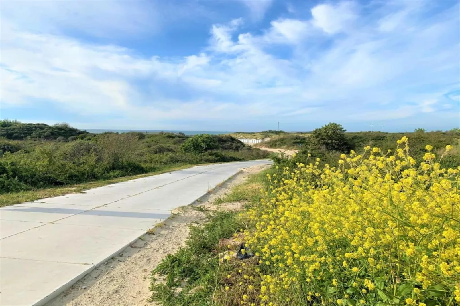 Roompot Beach Resort 25-Areas within 20km in summer