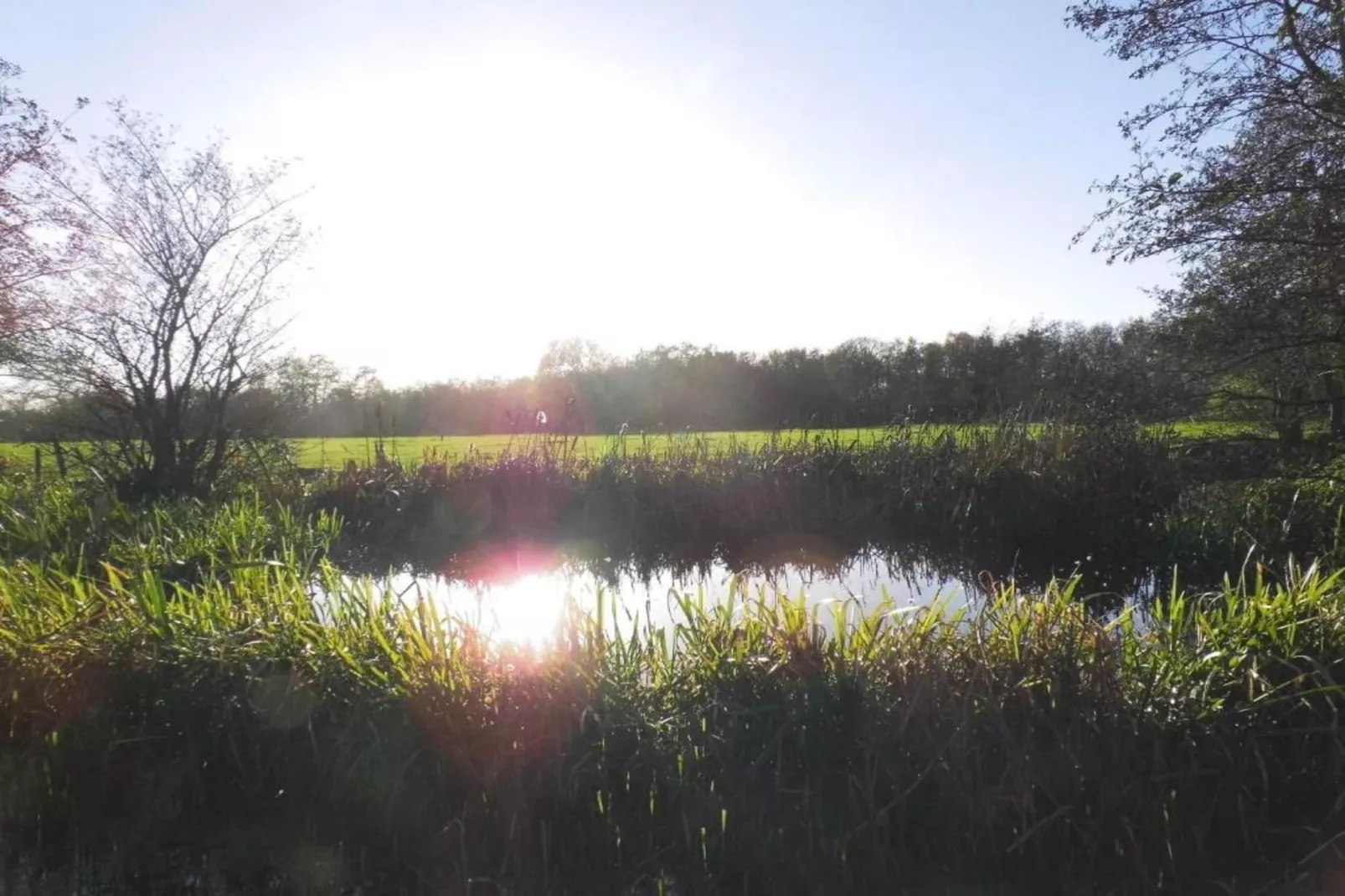 Twee safaritenten "Noflik" & "Gaadlik" naast elkaar-Areas within 5km in summer