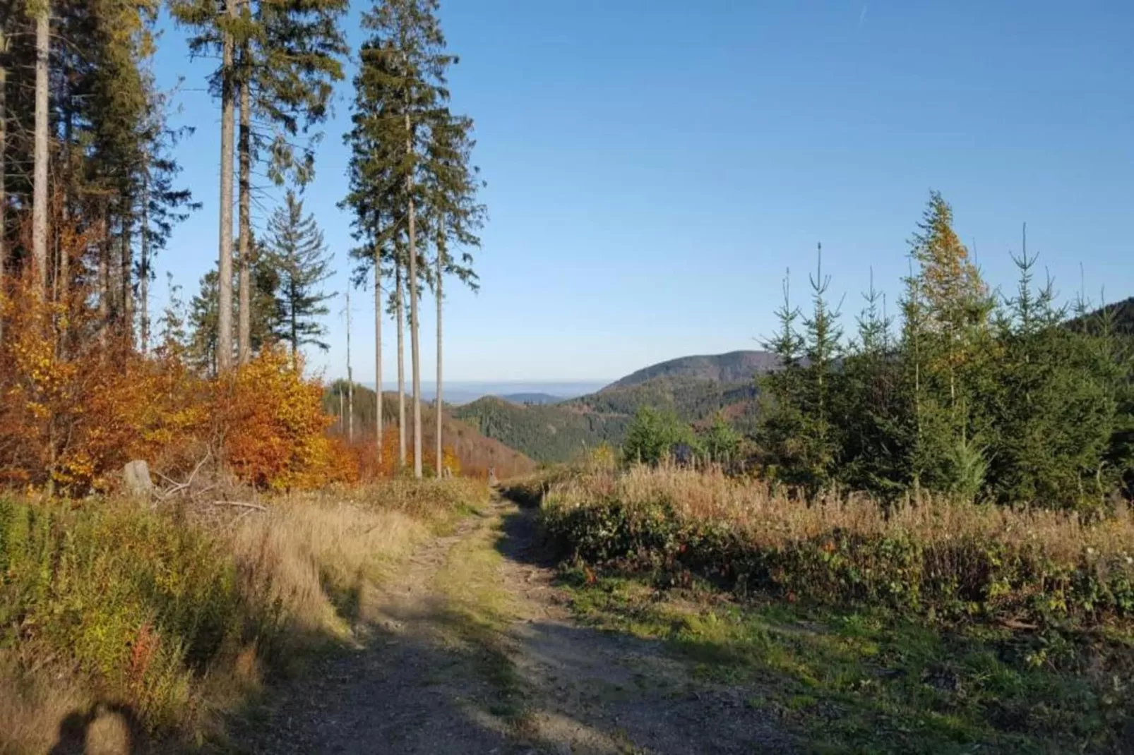 Ferienwohnung Bockwiese-Hahnenklee-Areas within 20km in summer