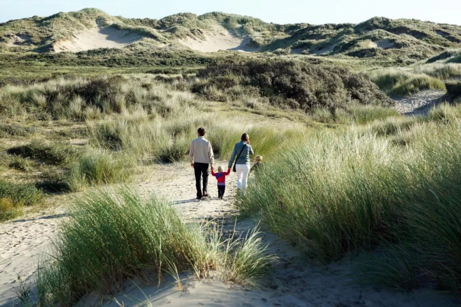 Vakantiepark Duinrust 2-Areas within 20km in summer