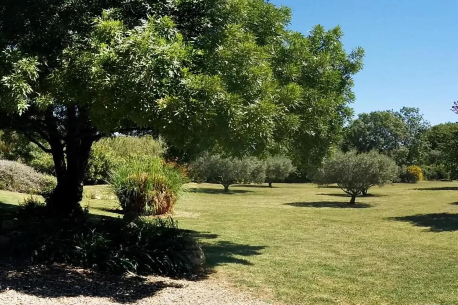 LA BOUSCADE GUESTHOUSE-Areas within 5km in summer