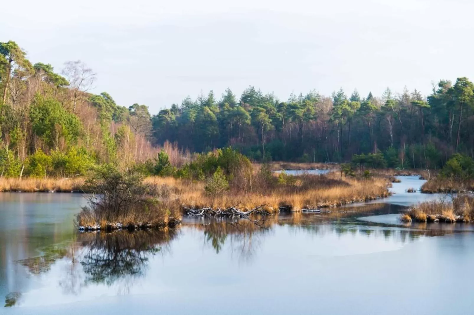 Vakantiepark Molenvelden 11-Gebiete Sommer 20 km
