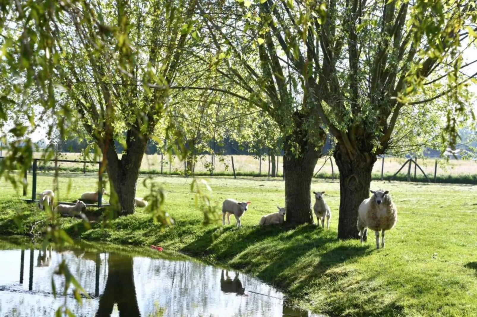 WESTDIEP 4/0701GAR-Zones été à 20 km