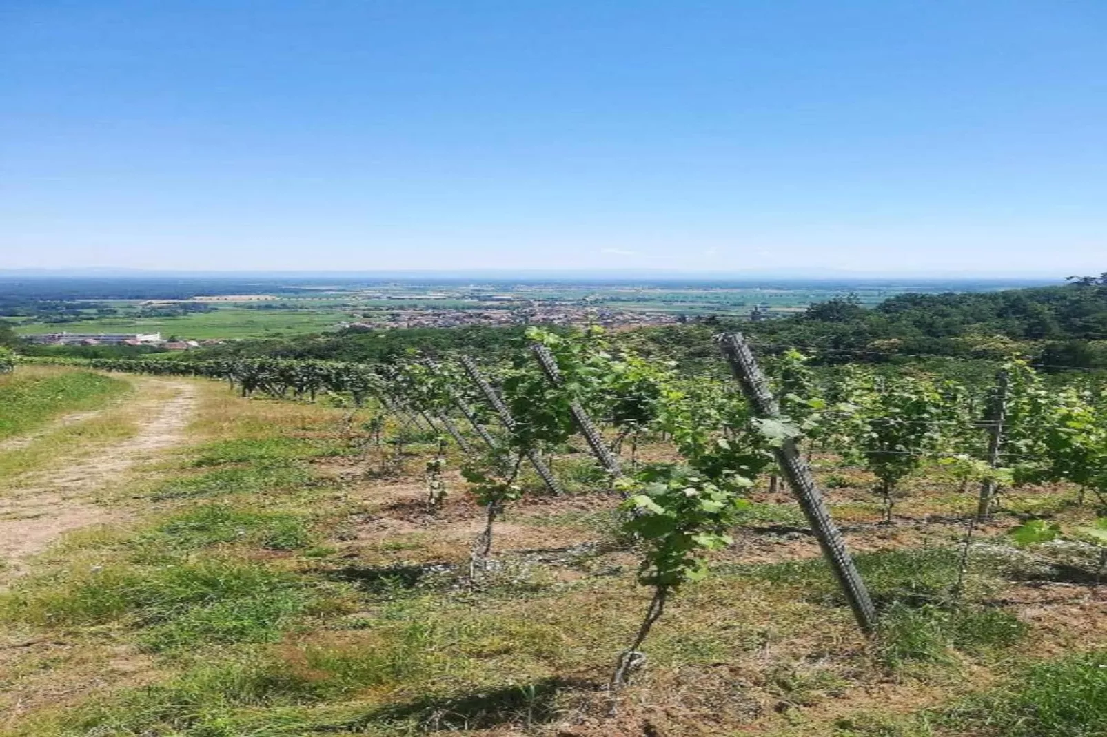 Magnifique Appartement Alsacien-Areas within 20km in summer