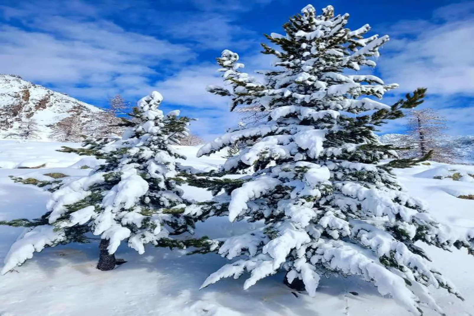 Les Terrasses d'Isola 1-Zones hiver à 20 km