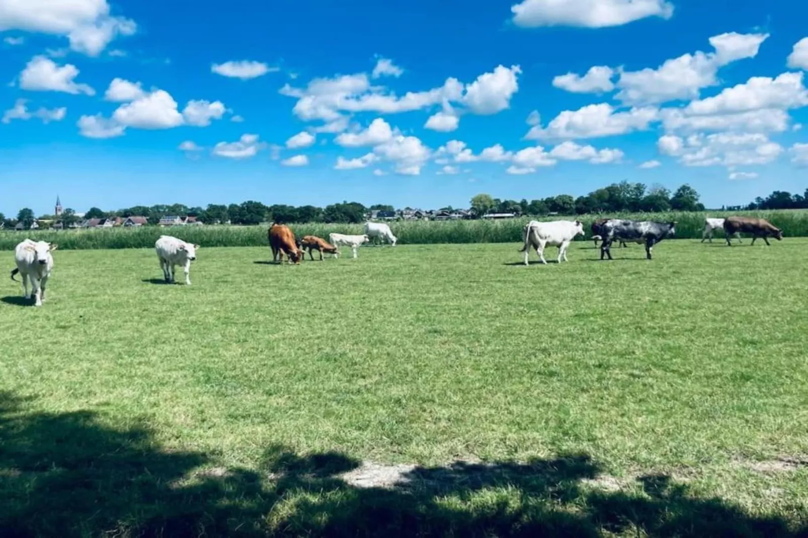 Huisje 'In de Tuin' A-Gebiete Sommer 20 km