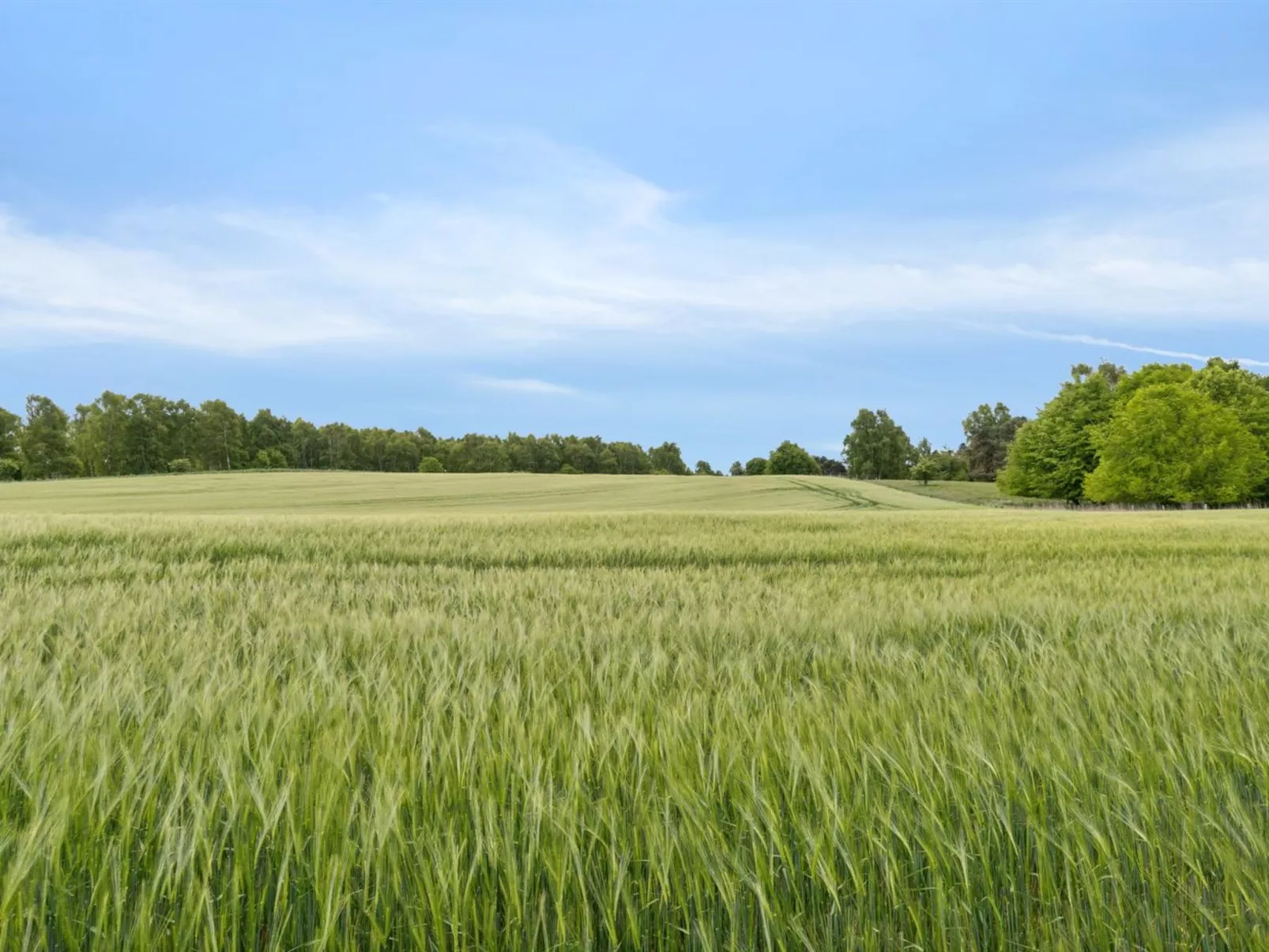 "Vojo" - 1.4km from the sea-Dehors
