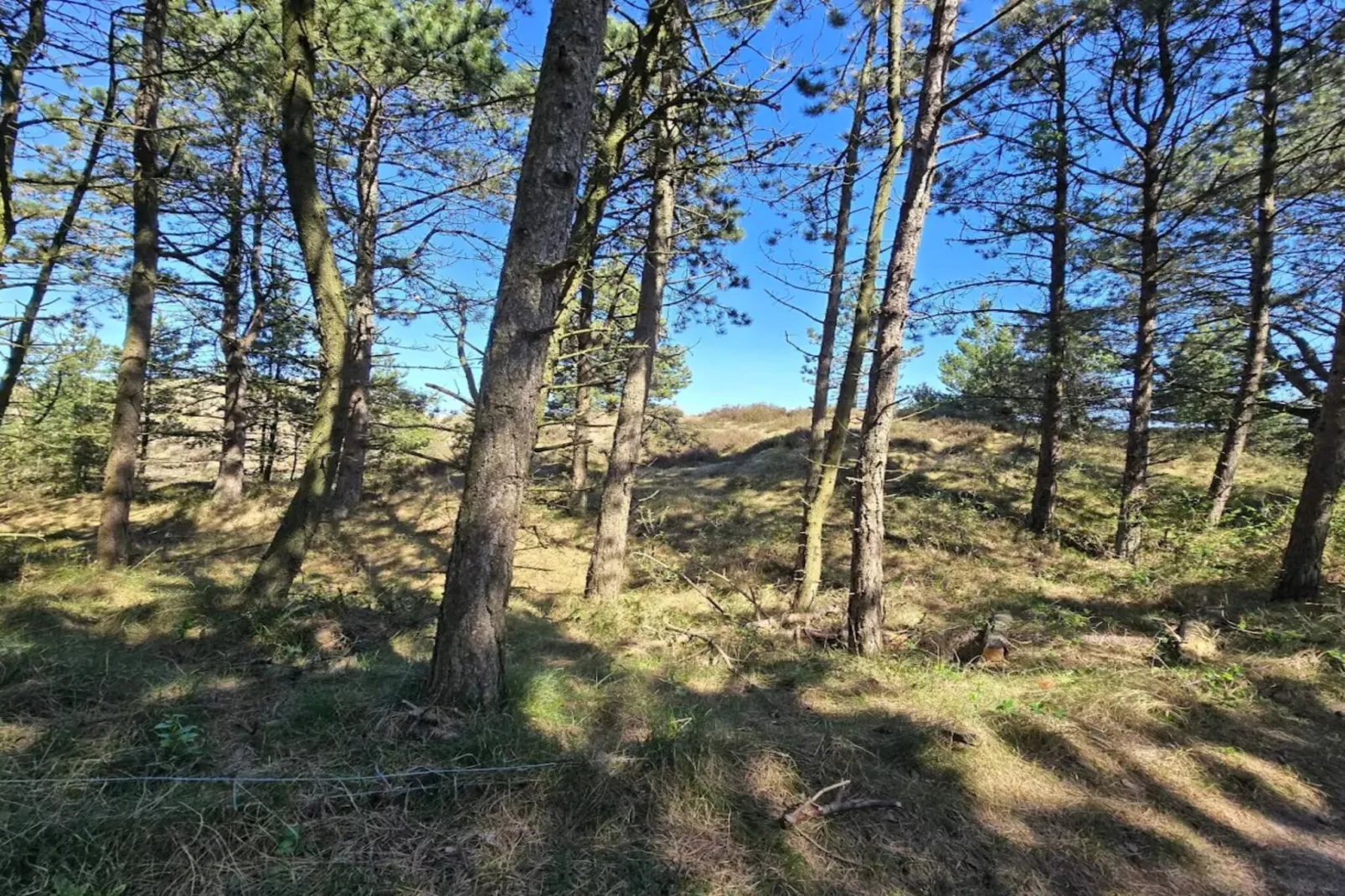 8 person holiday home in Rømø
