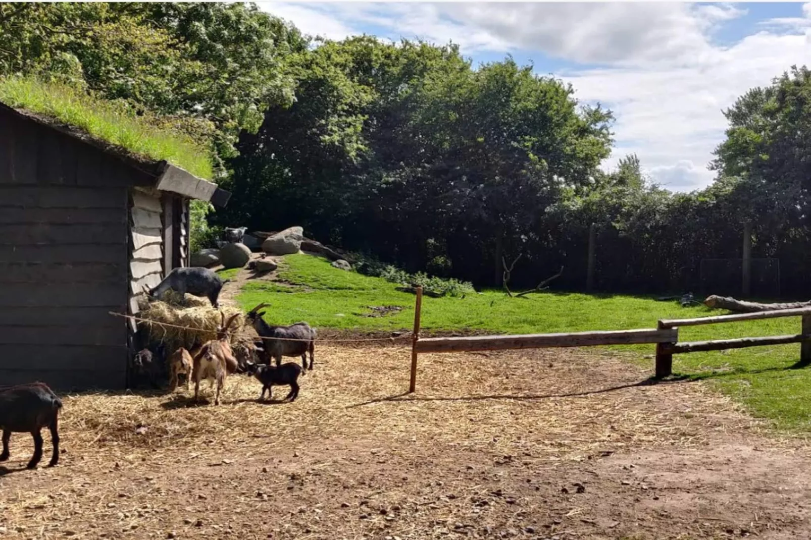 4 person holiday home in Grevinge-By Traum-Untagged