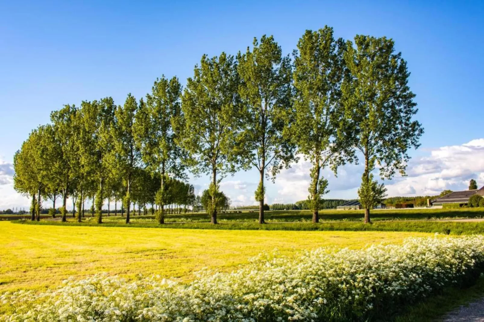 Halseweg 54-Areas within 20km in summer