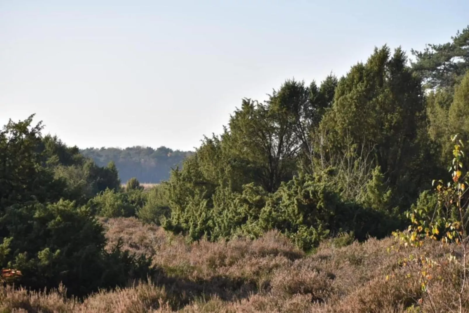 De Riek 4P-Areas within 20km in summer