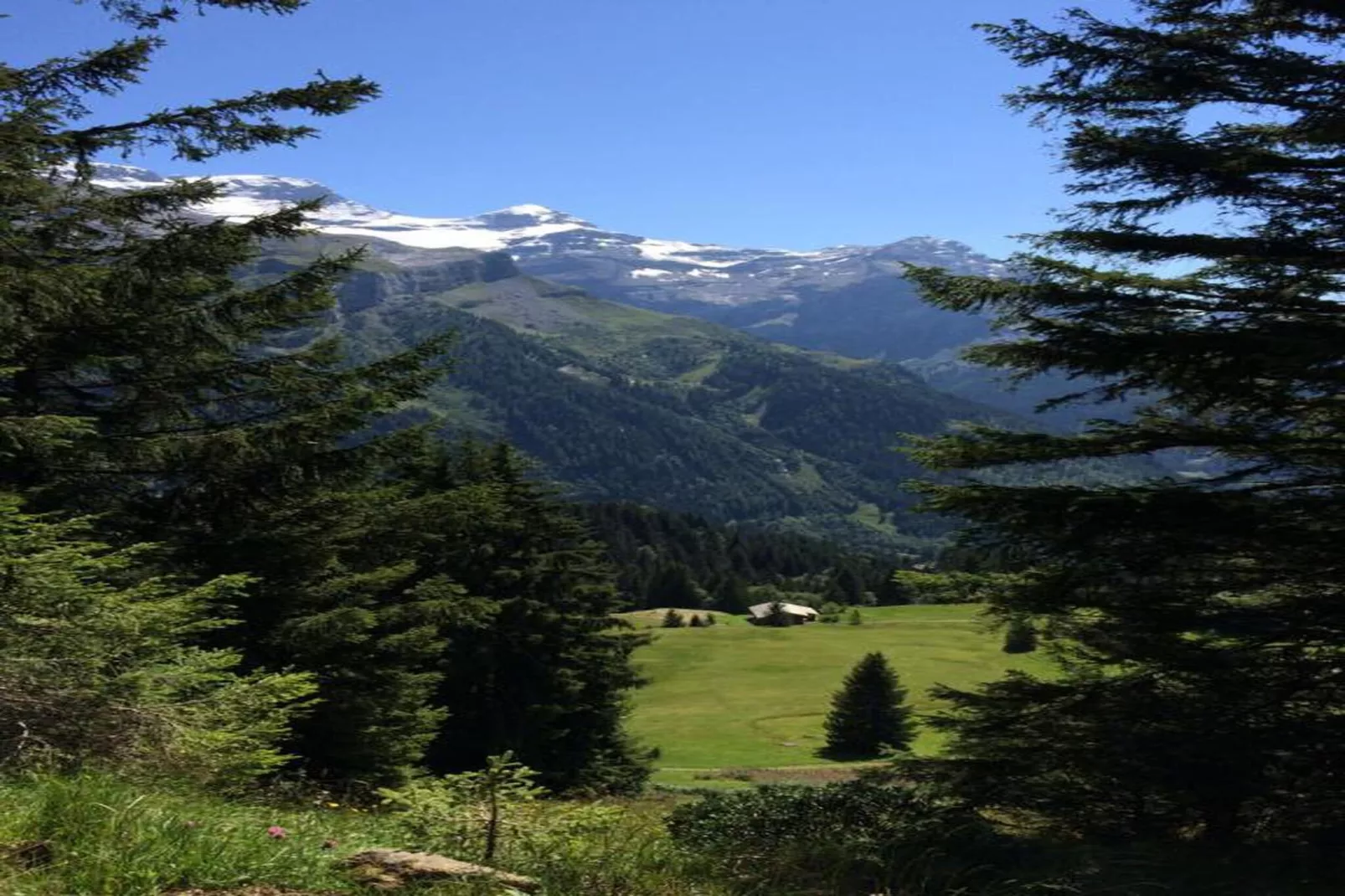 Gstaad Luxurious flat with terrace & stunning views-Garten Sommer