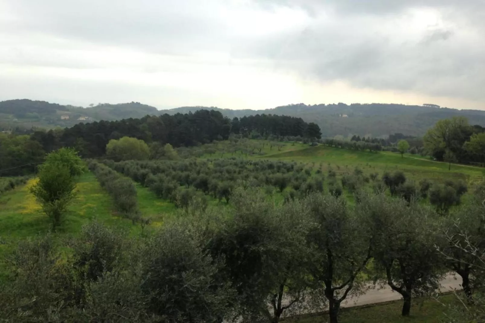 Le Piane-Areas within 20km in summer