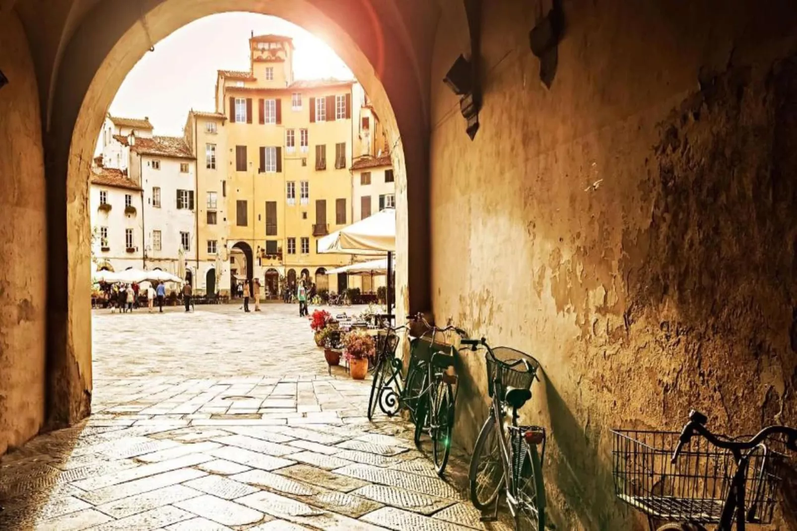 Pinocchio-Areas within 20km in summer
